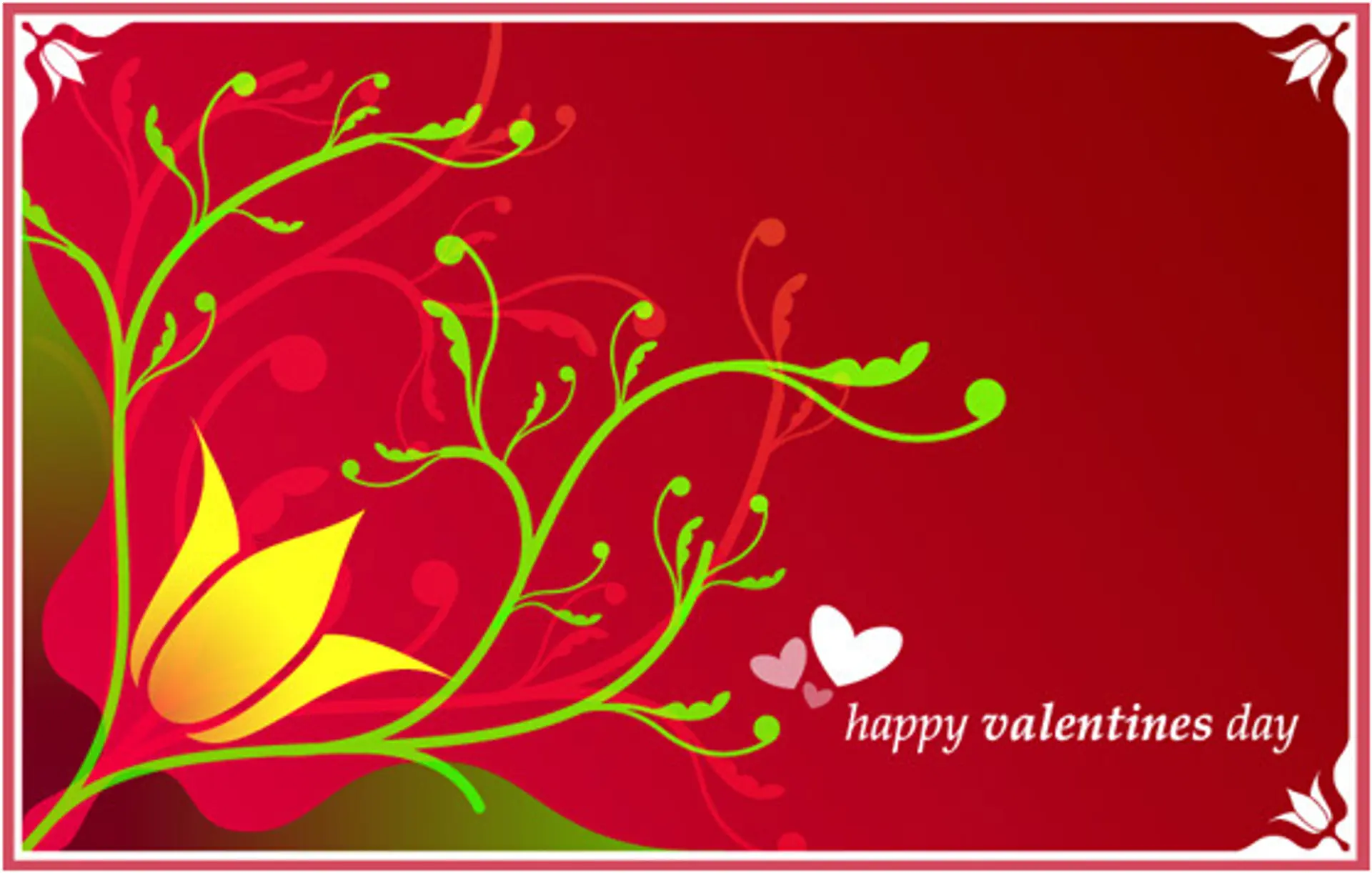 Matthew Willox | Valentines Day